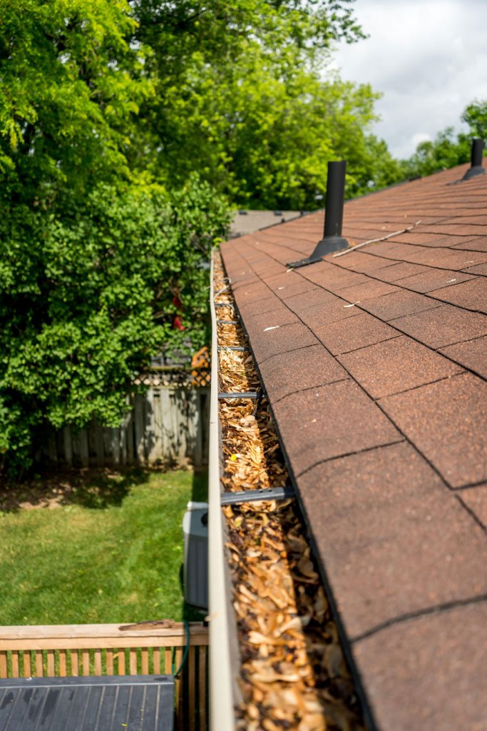 Clogged Gutters
