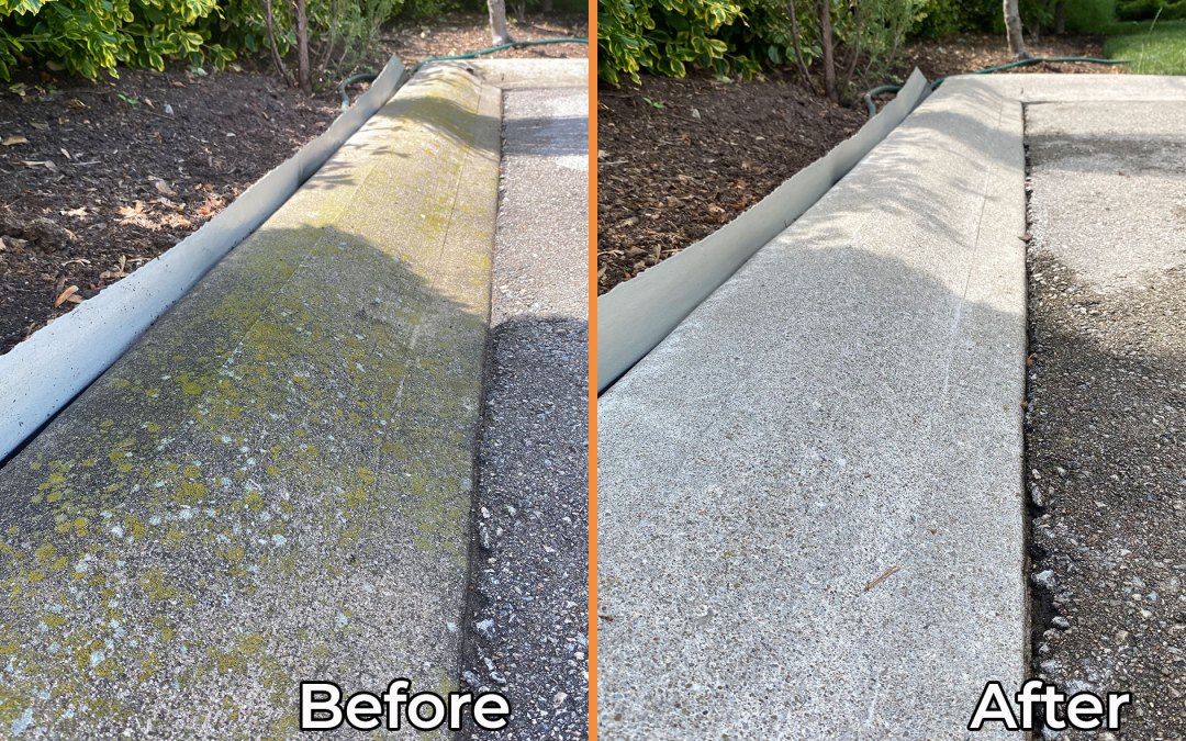 Pressure Wash Before/After