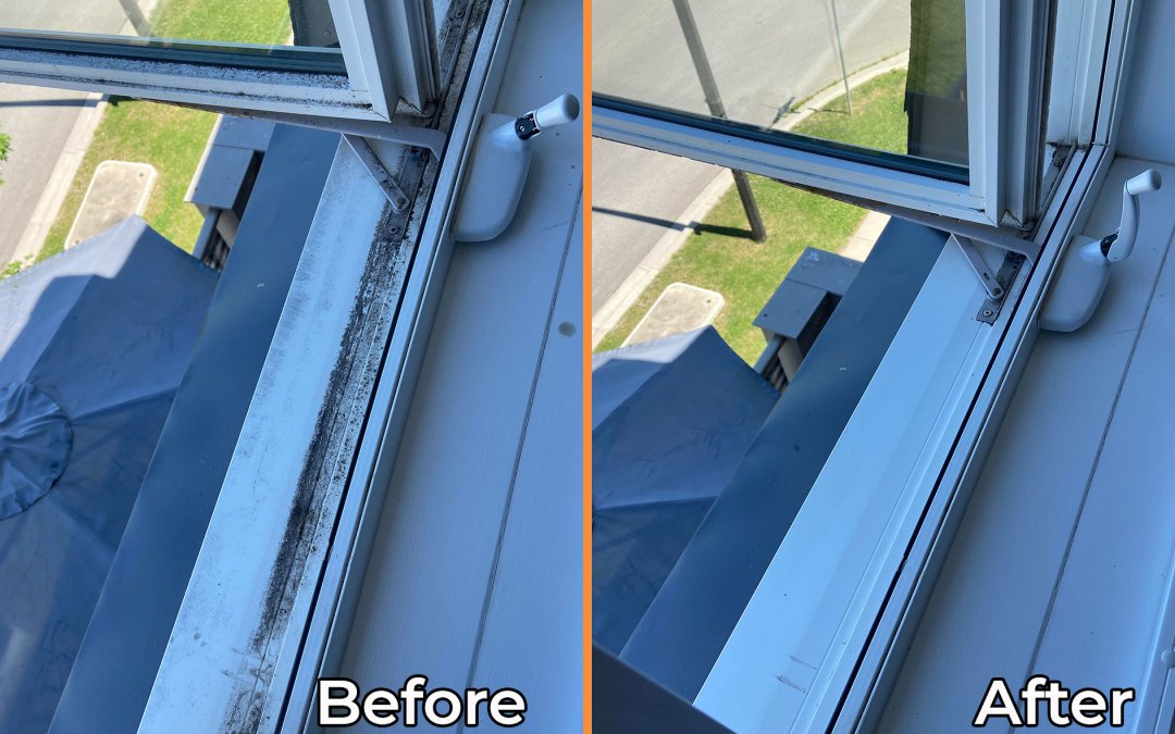 Track Cleaning Before/After