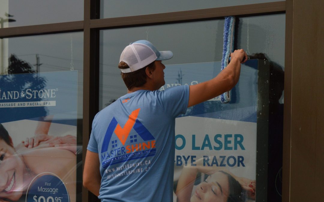Local Window Cleaning Services