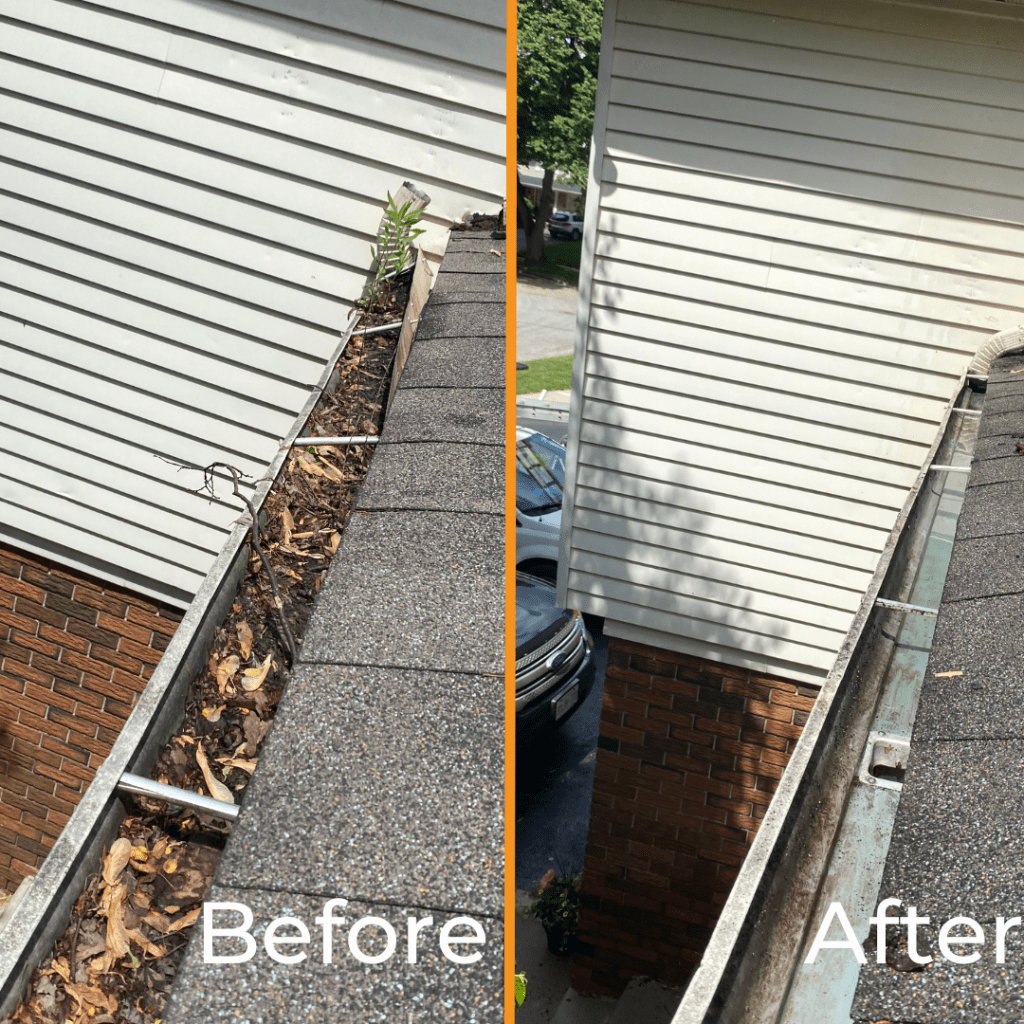 Gutter Cleaning Service 