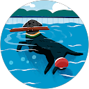 Brads profile picture