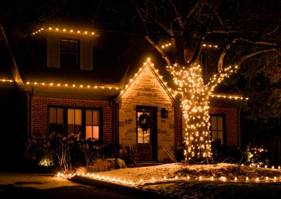 professional christmas light installation