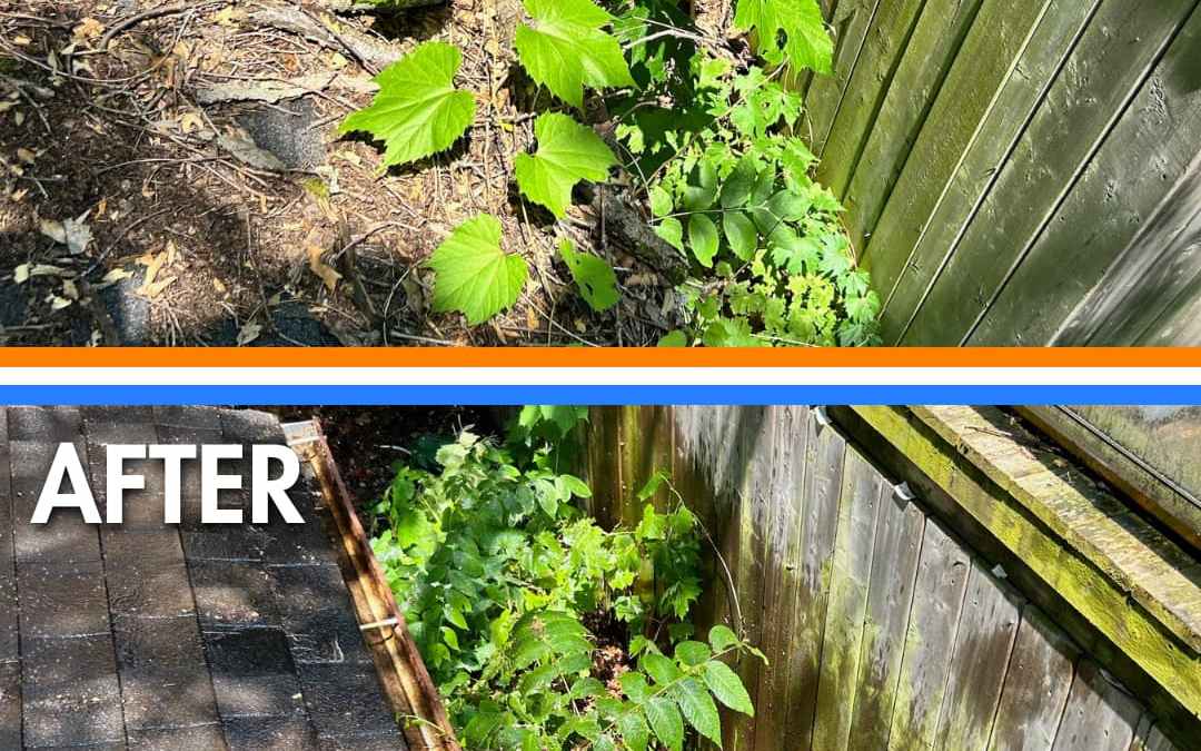Before/After Eavestrough Cleaning