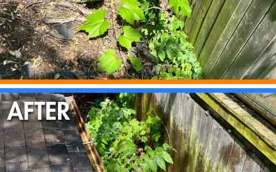 When Should You Schedule Fall Gutter Cleaning in Mississauga?