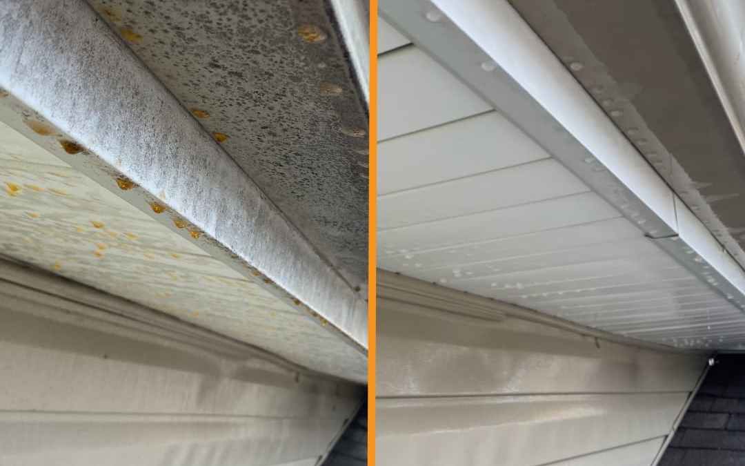 Eaves and Soffit Wash