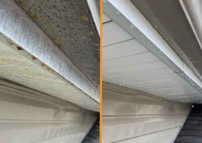 Eaves and Soffit Wash