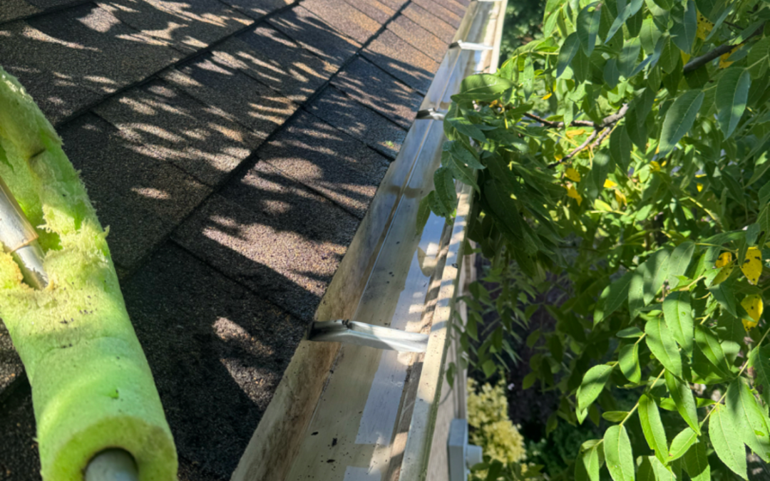 When Should You Schedule Fall Gutter Cleaning in St. Catharines & Niagara?